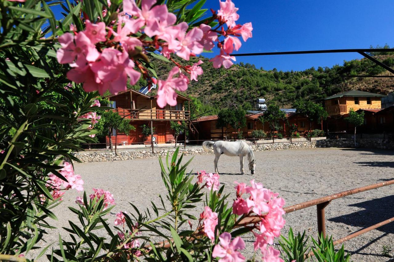 Oranj Ranch Hotel Kemer Exterior foto
